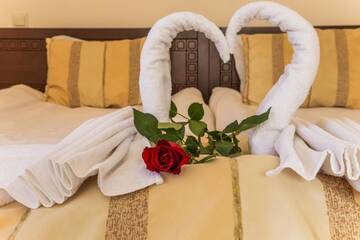 Фото номера Двухместный номер с 1 кроватью или 2 отдельными кроватями Отель Family Hotel Teteven г. Тетевен 6