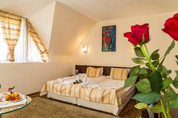 Фото номера Полулюкс Отель Family Hotel Teteven г. Тетевен 7