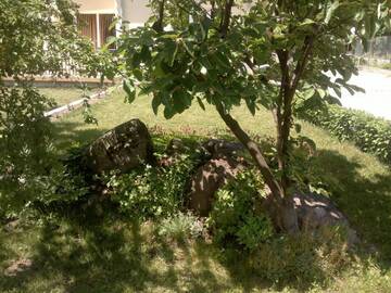 Фото номера Вилла с 4 спальнями Дома для отпуска Villa Nanevi г. Тетевен 98